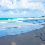 Condado Beach Organic Jewel King Size