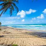 Condado Beach Organic Jewel King Size