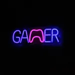 Gamer\'S House