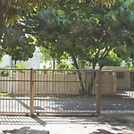 Serena Baja