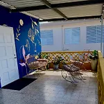Urban Tropical Oasis In San Juan