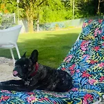 Jardin Al Bosque-Glamping
