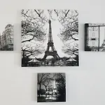 Black & White Comfort House