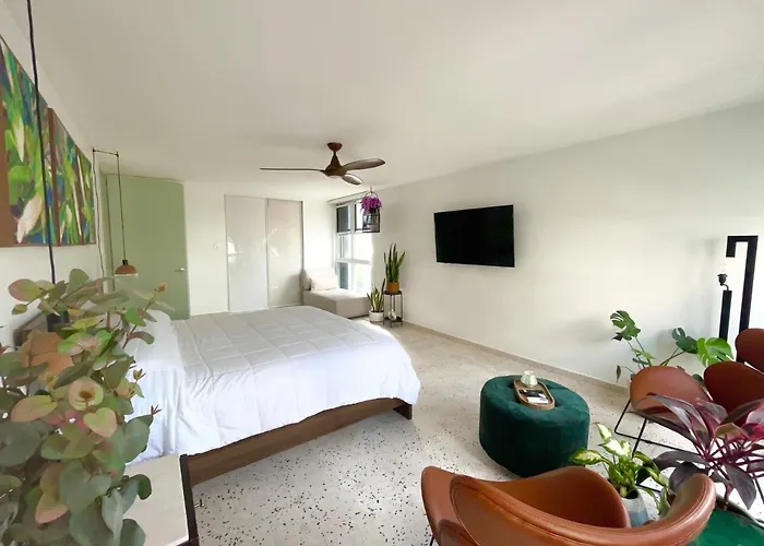 Villa Jungla Del Mar - Oceanfront City Apartment