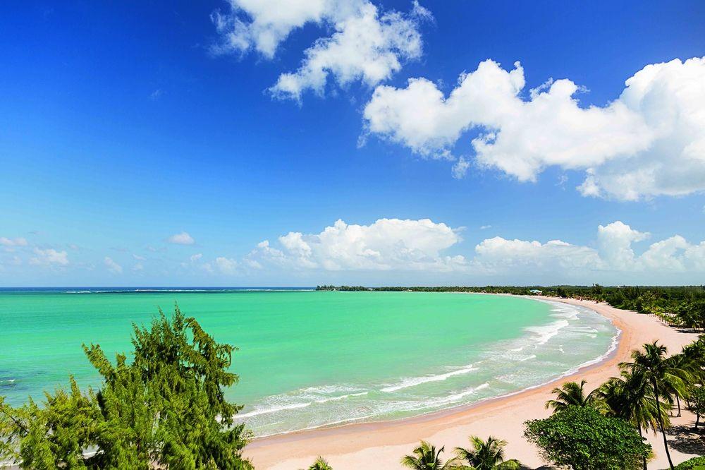 Resort The Ritz-carlton,