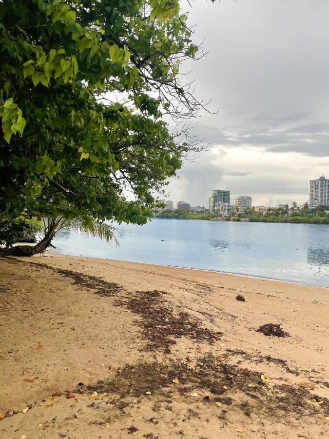 Jungla Del Mar - Oceanfront City Apartment San Juan