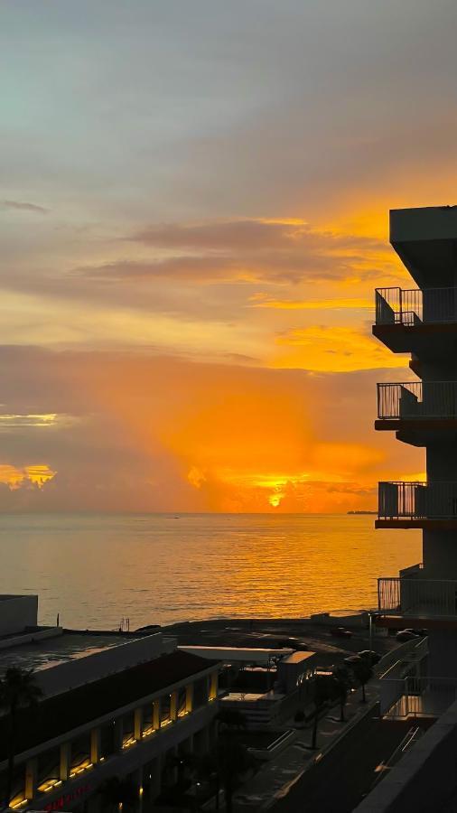 Jungla Del Mar - Oceanfront City *