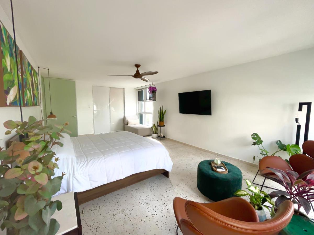 Jungla Del Mar - Oceanfront City *