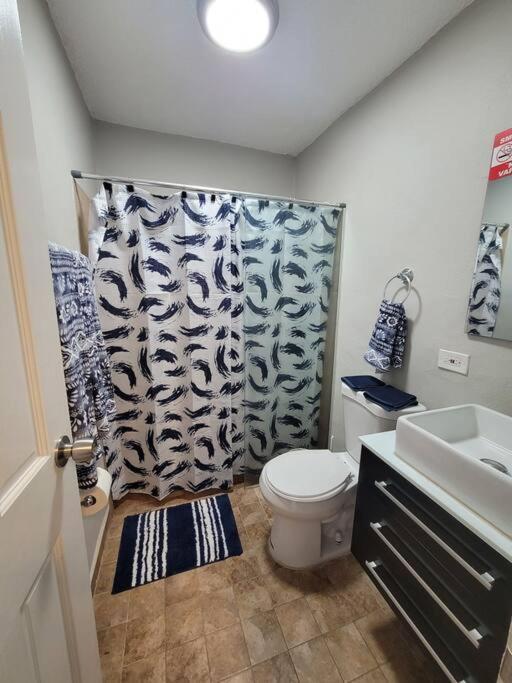Concert Apartment *