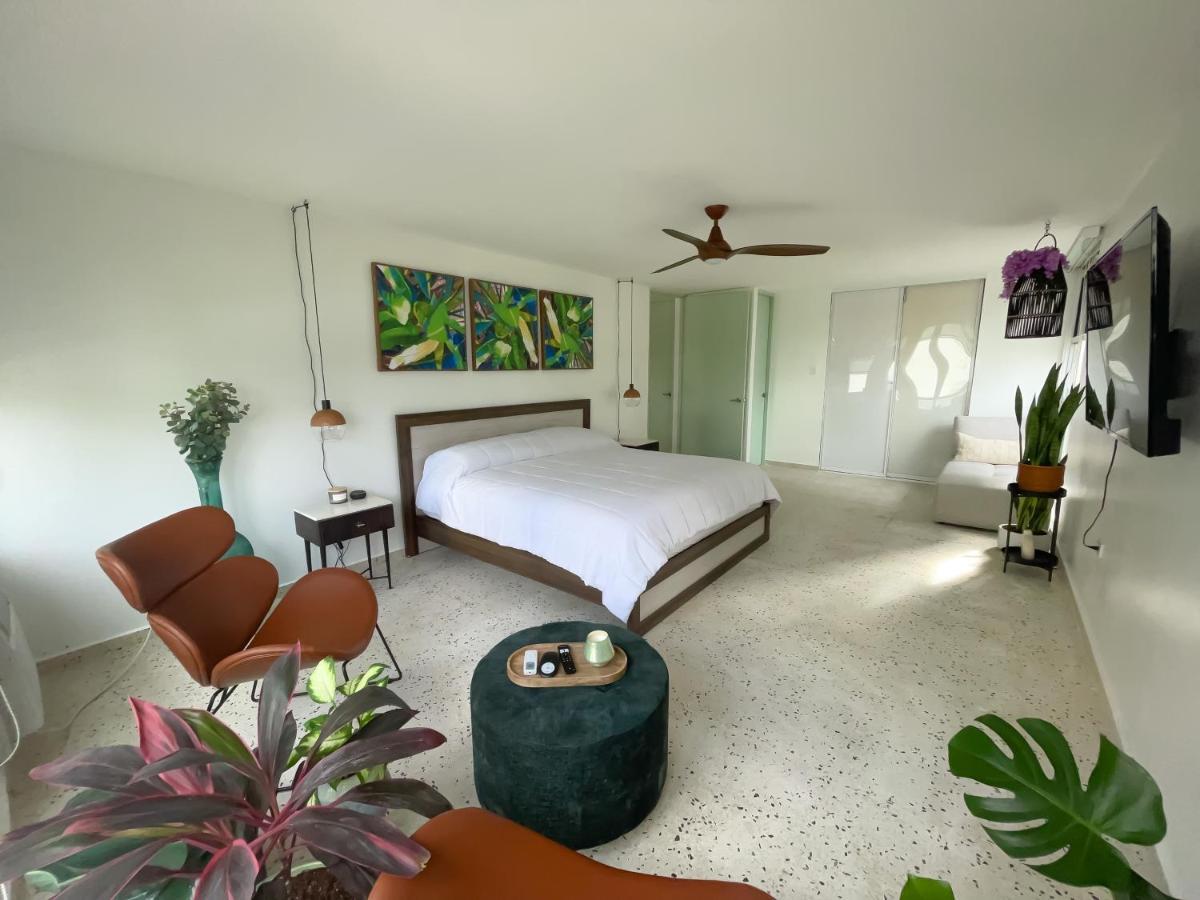Jungla Del Mar - Oceanfront City Apartment San Juan