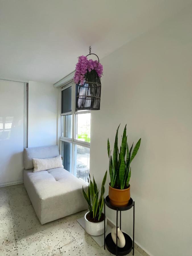 Jungla Del Mar - Oceanfront City