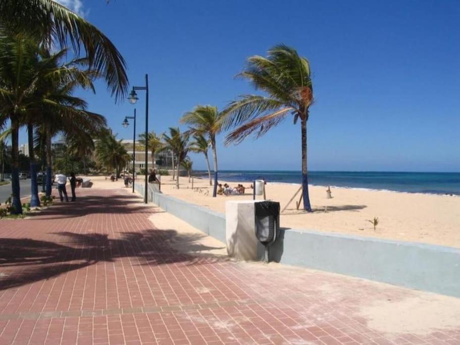 Apartment Los Angeles Guest And Guest At 7 Minutes From Airport *