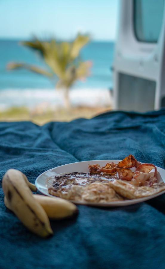 Campsite Discover Puerto Rico In Our Campervan Carlos By Del Sol