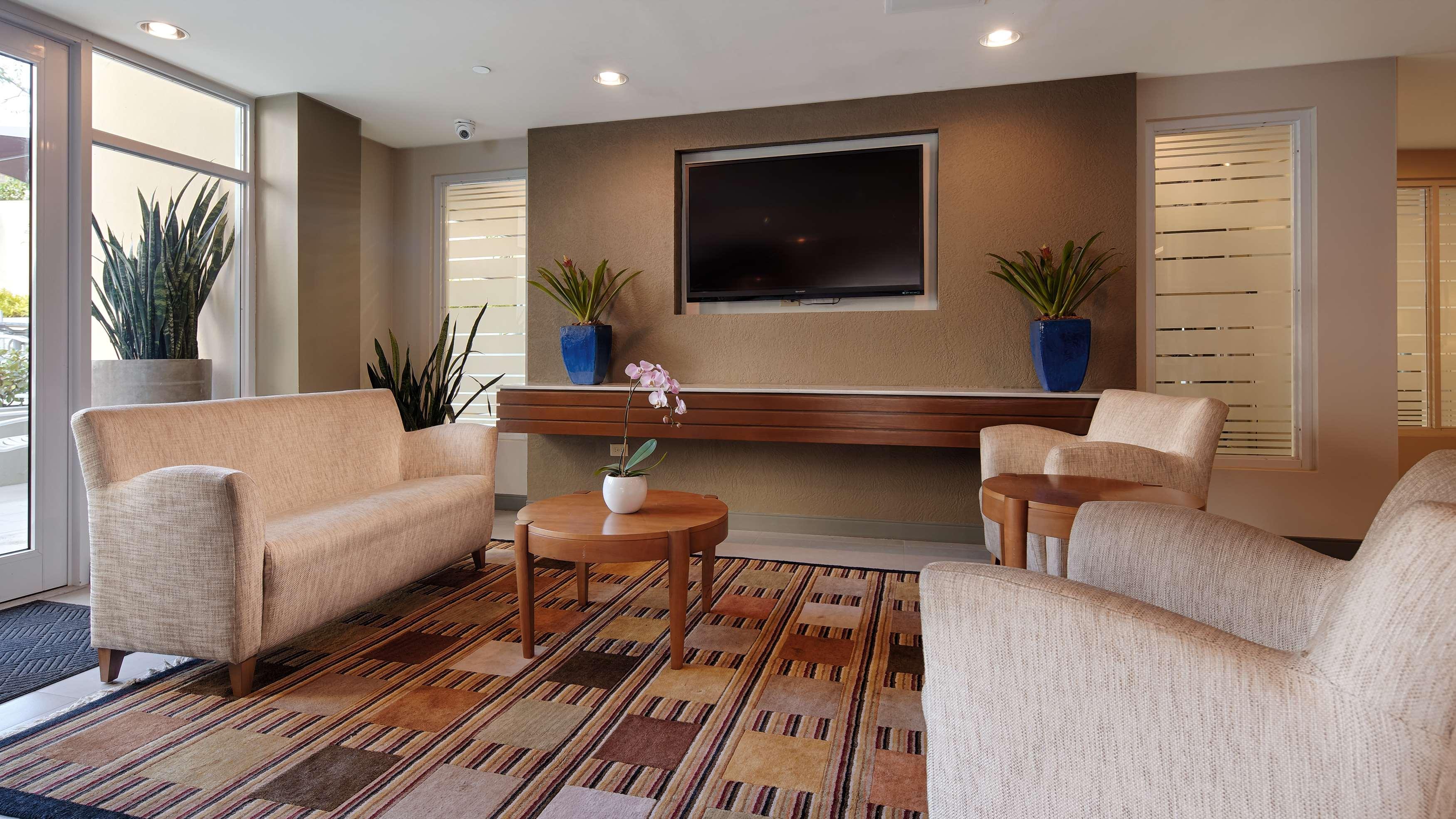 Hotel Condado Palm San Juan, Tapestry Collection By Hilton San Juan
