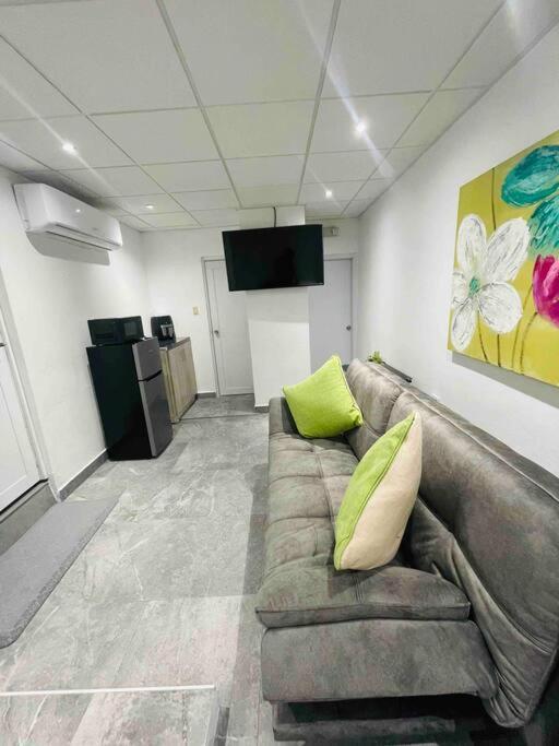Luxury P.r Area Metro Apartment