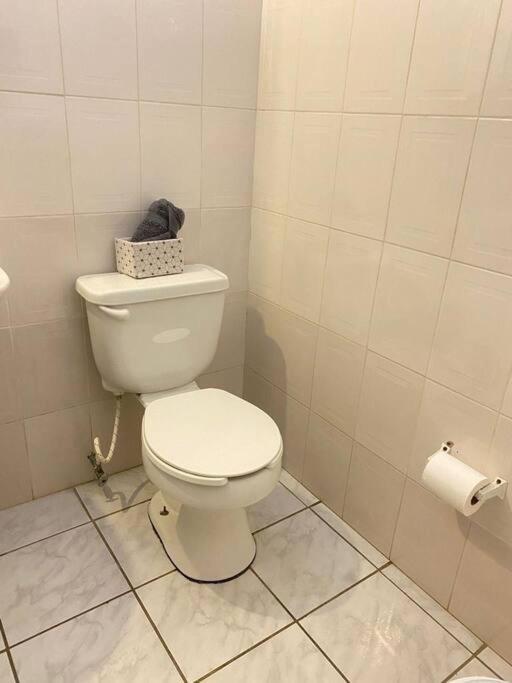 Apartment Apt At Ivt 3 *