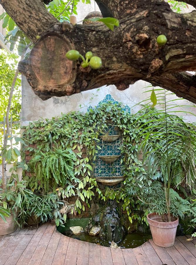 La Botanica San Juan