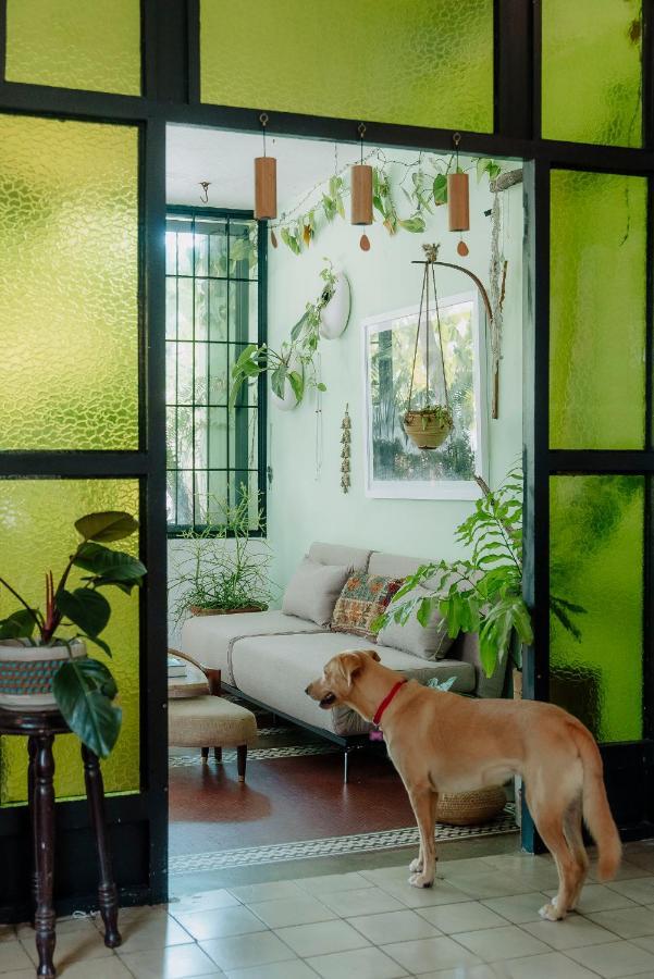 La Botanica Hotel *