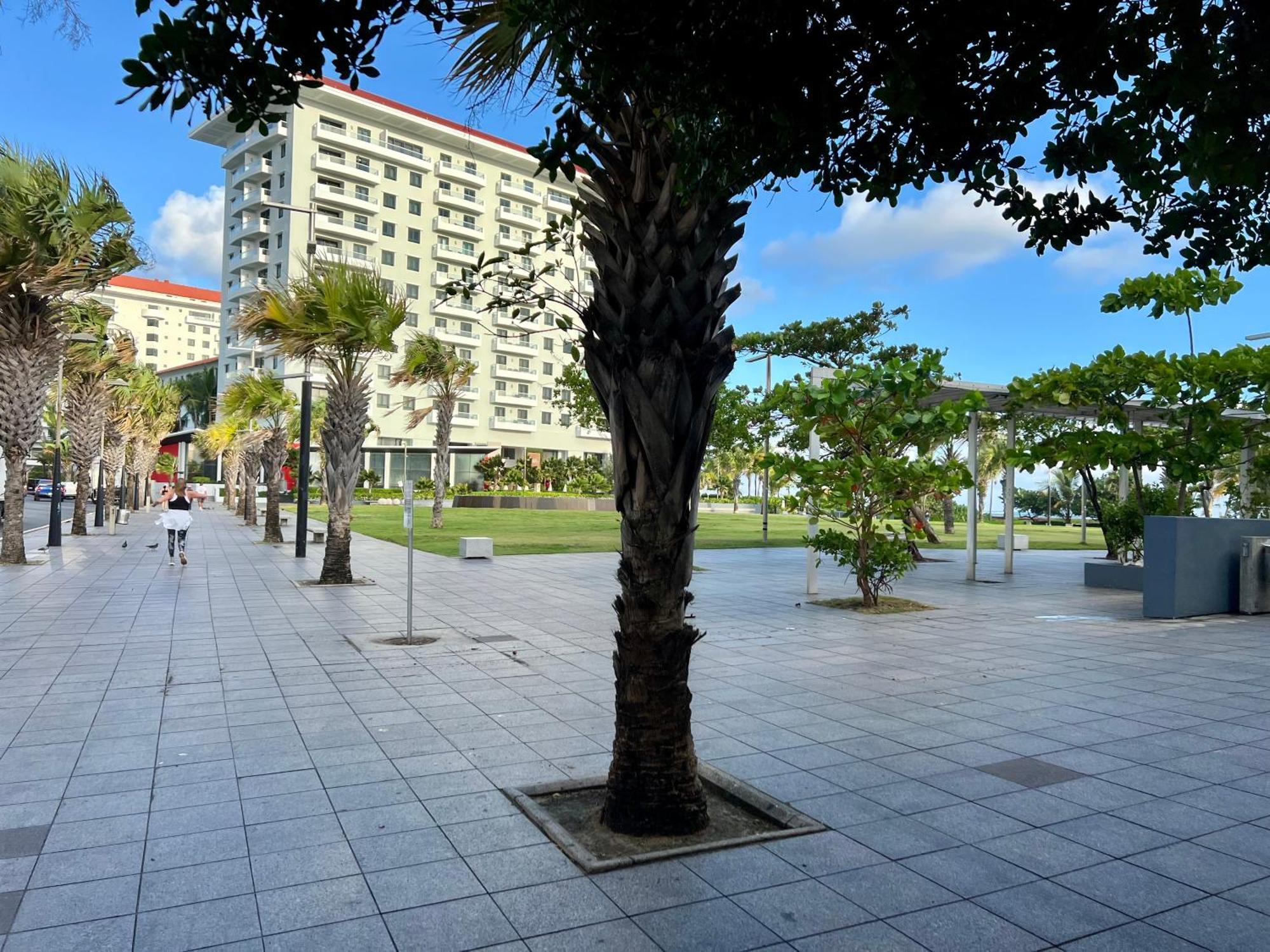 Condado Paradise Tantra Apartment San Juan