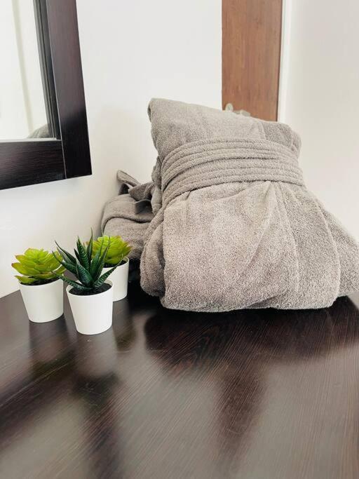 Apartment Alanis Condado / 1 Minute Walking San Juan