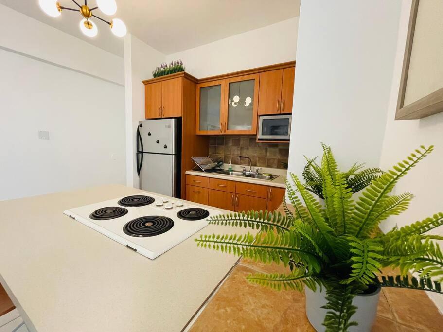 Apartment Alanis Condado / 1 Minute Walking
