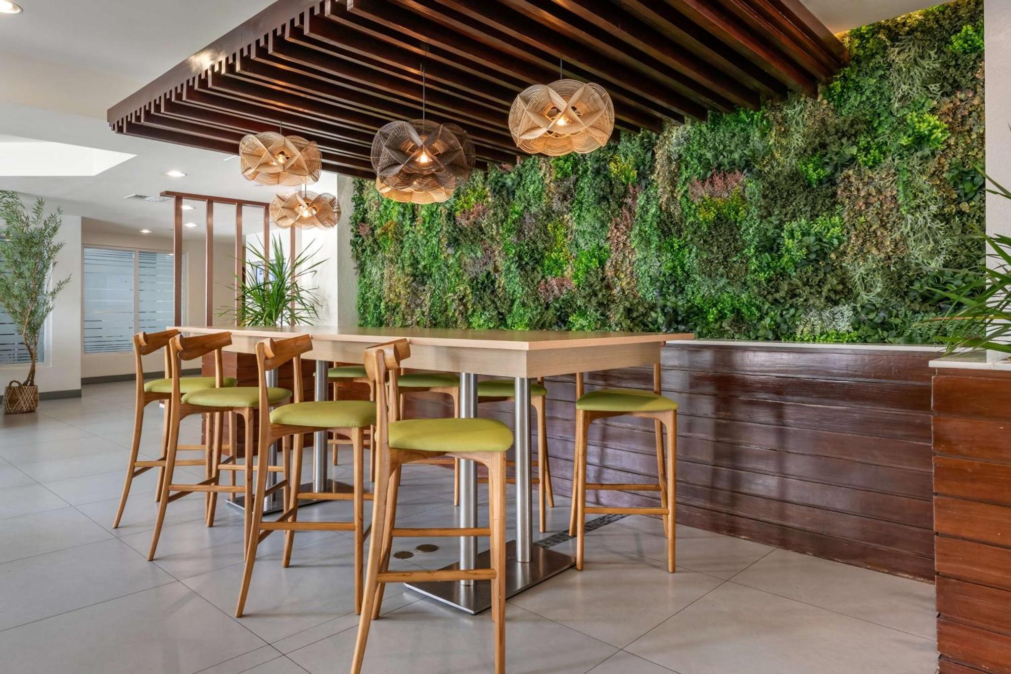Condado Palm San Juan, Tapestry Collection By Hilton