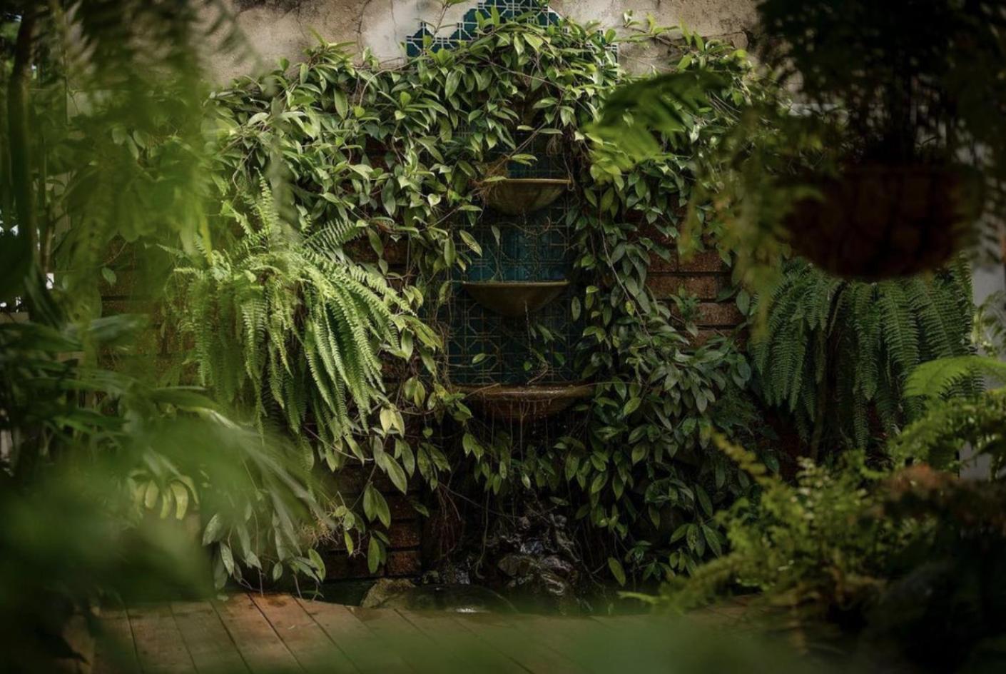 Hotel La Botanica San Juan