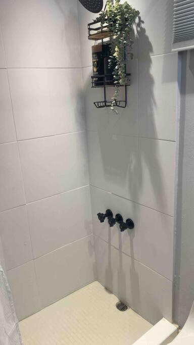 Apartment Condado Organic Jewel King Size *