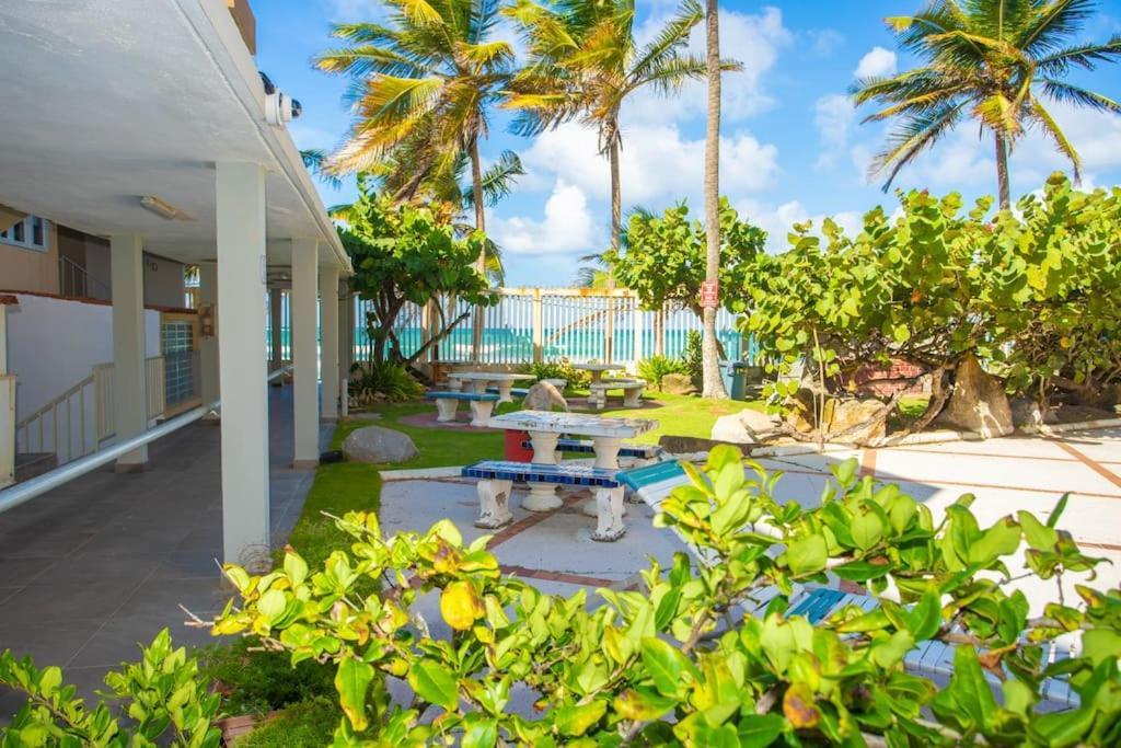 Condado Organic Jewel King Size * San Juan