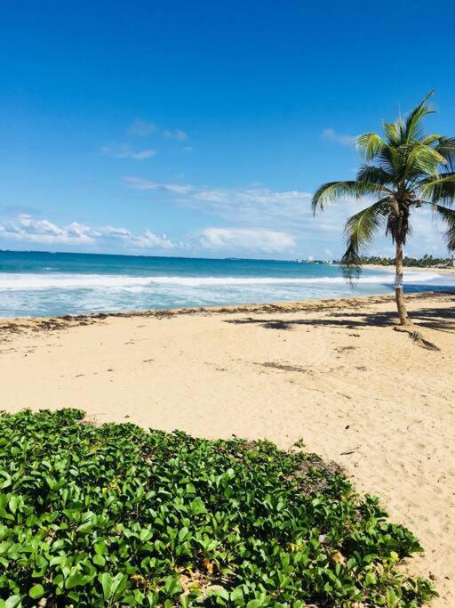 Apartment Big Place 2 Bedroom 3 Beds, Wf, Tv, Balcony & Parking San Juan