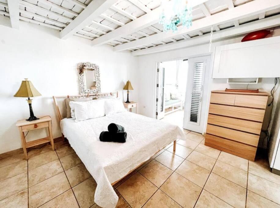 Casa Norzagaray Vintage Colonial Old Apartment San Juan