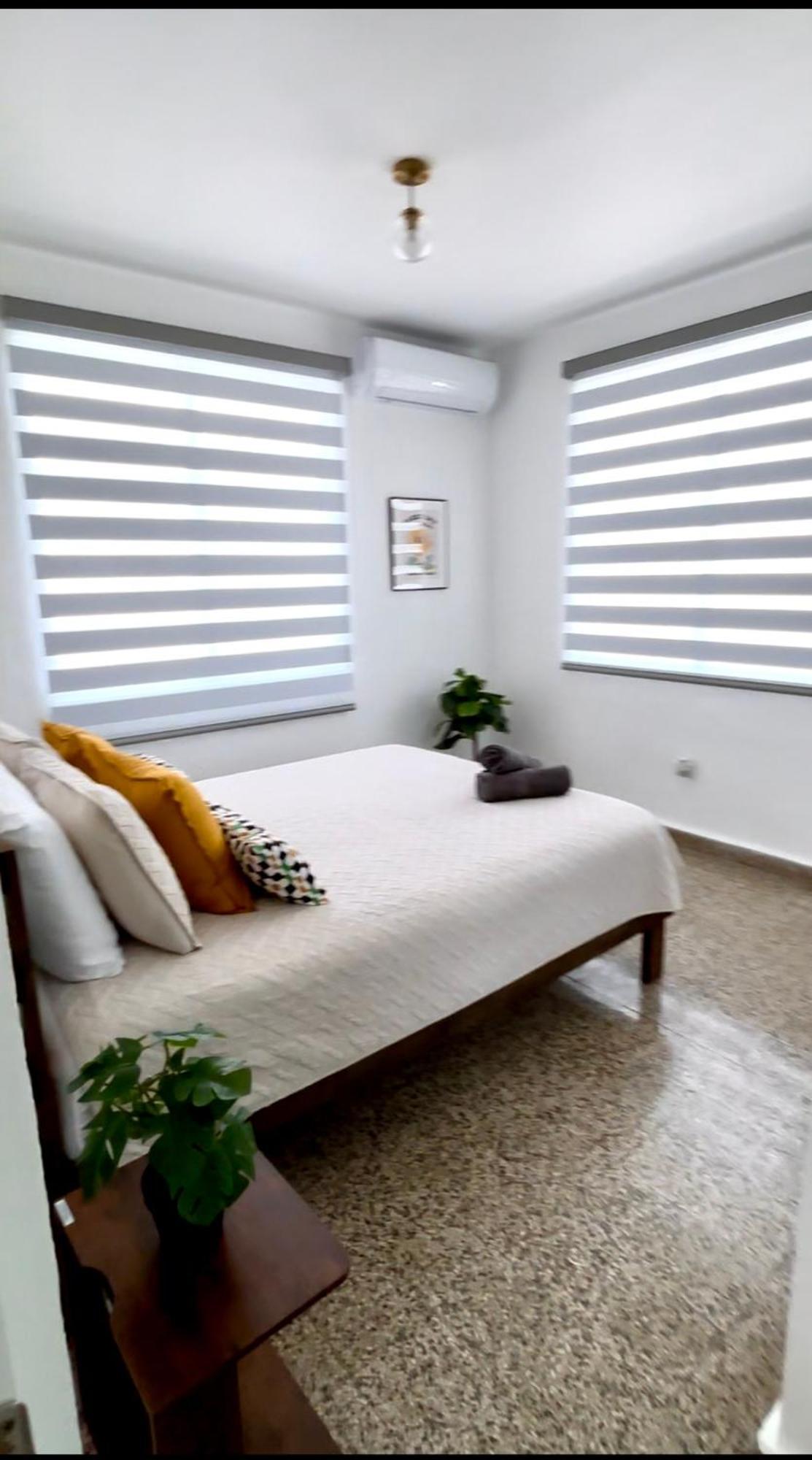 Urban Tropical Oasis In