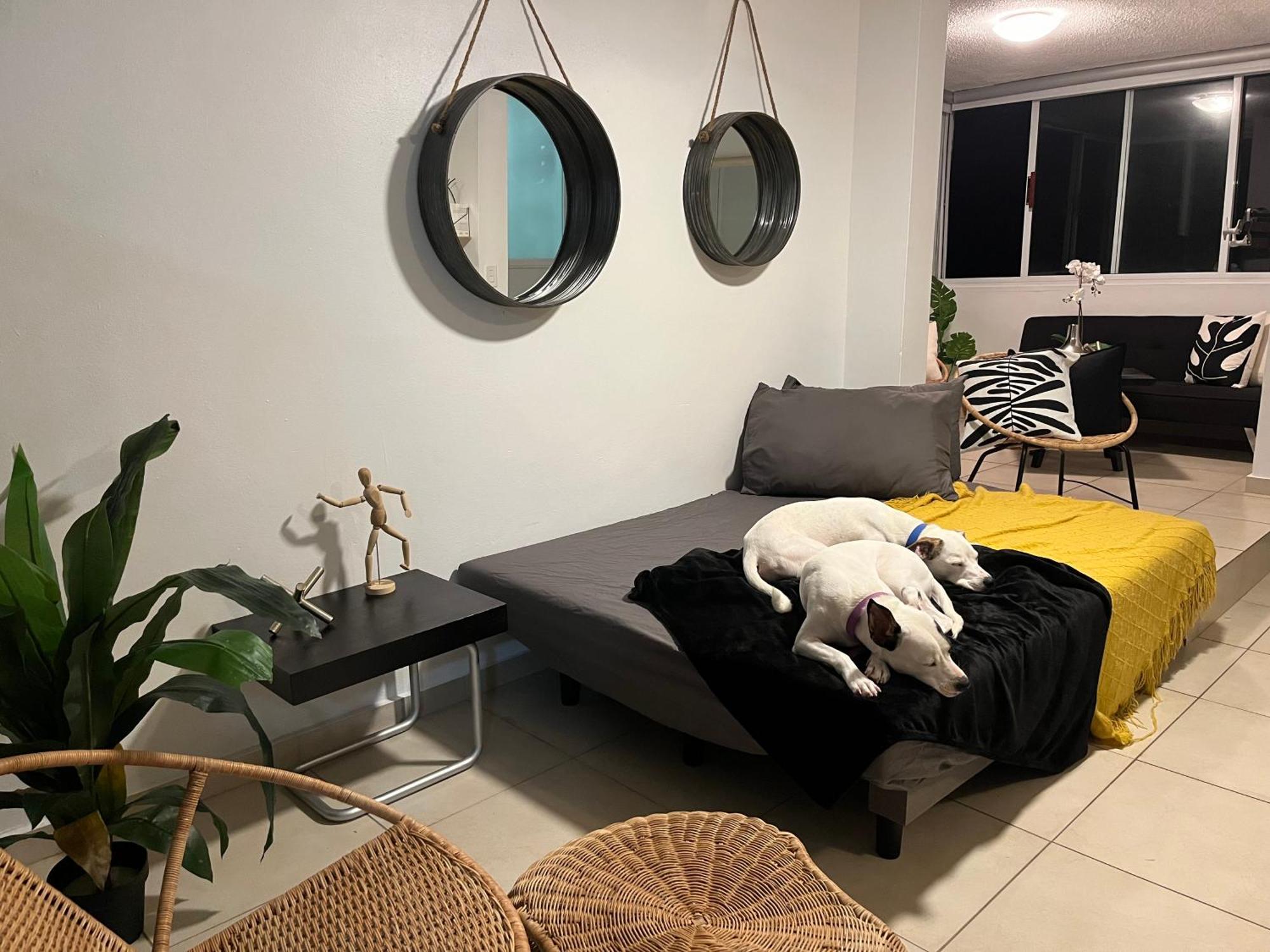 Estudio Con Vista Al Mar Y La Ciudad, Condado Apartment