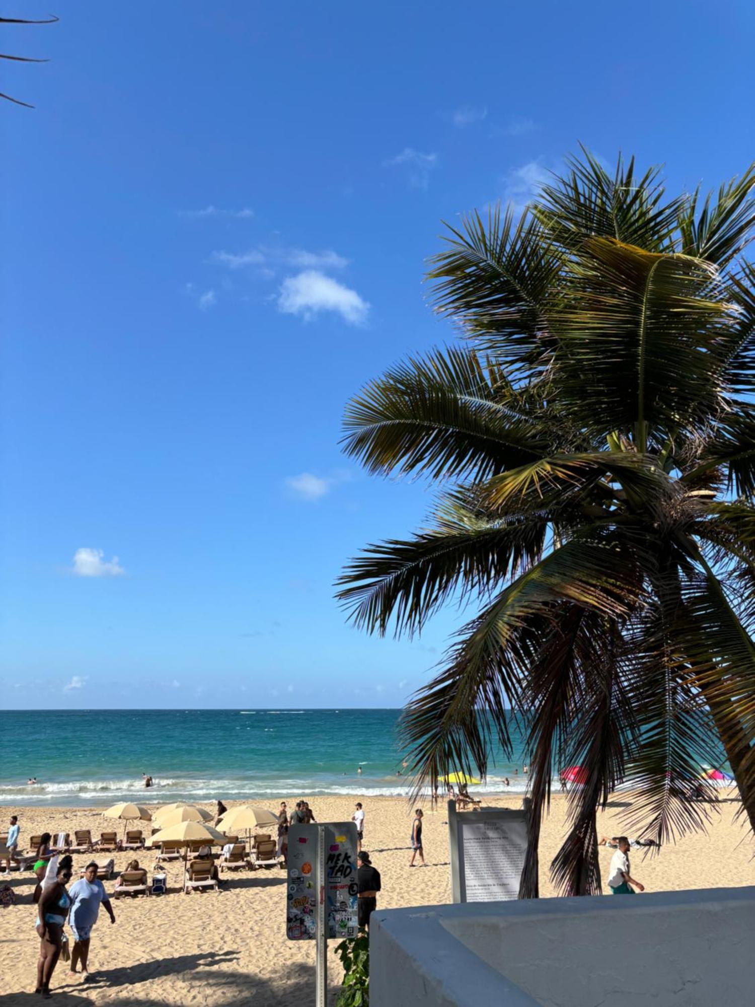 Downtown Condado Tropical *