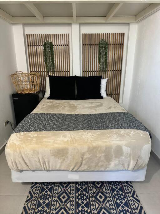 Homestay Trotamundos