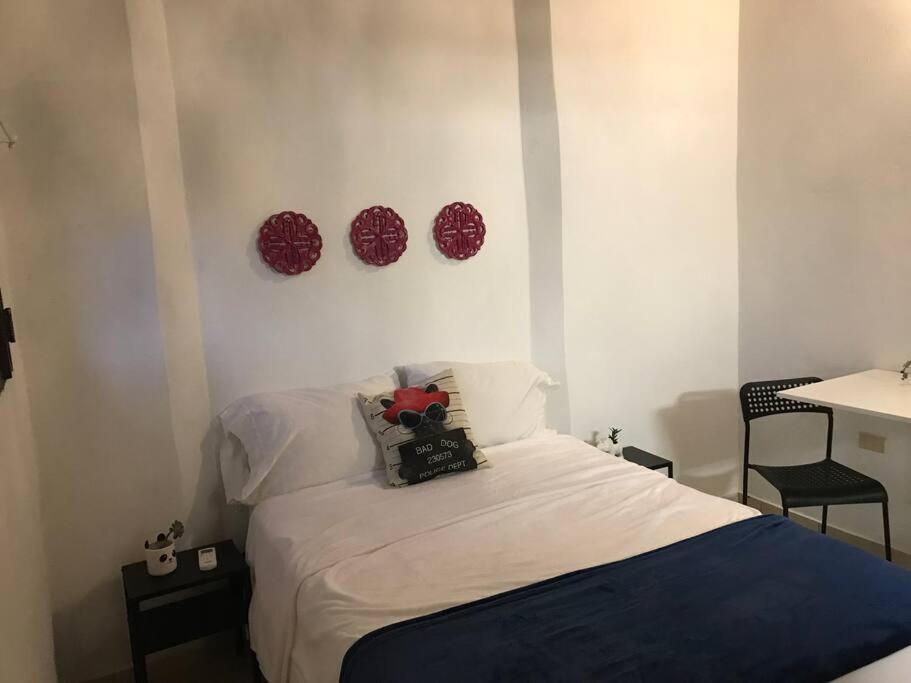Trotamundos Homestay San Juan