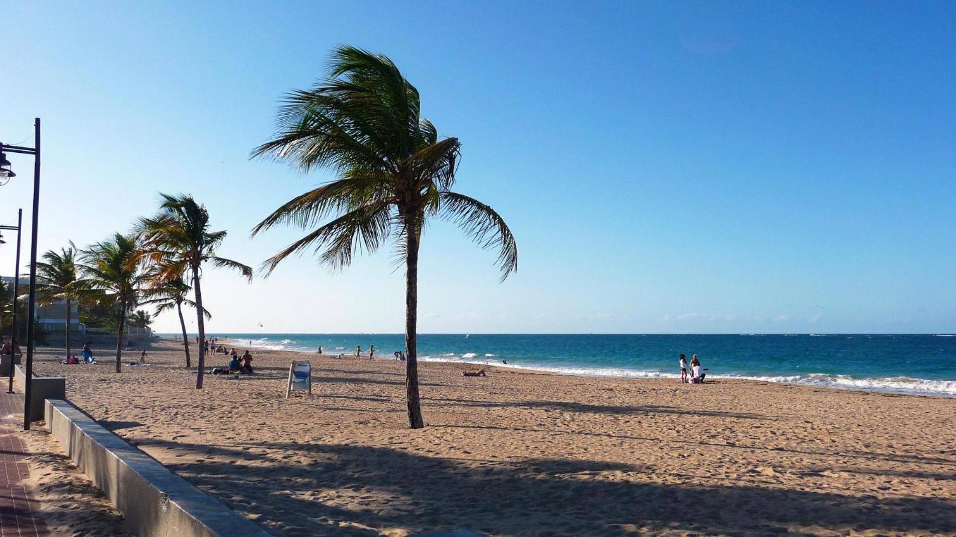 Serena Baja