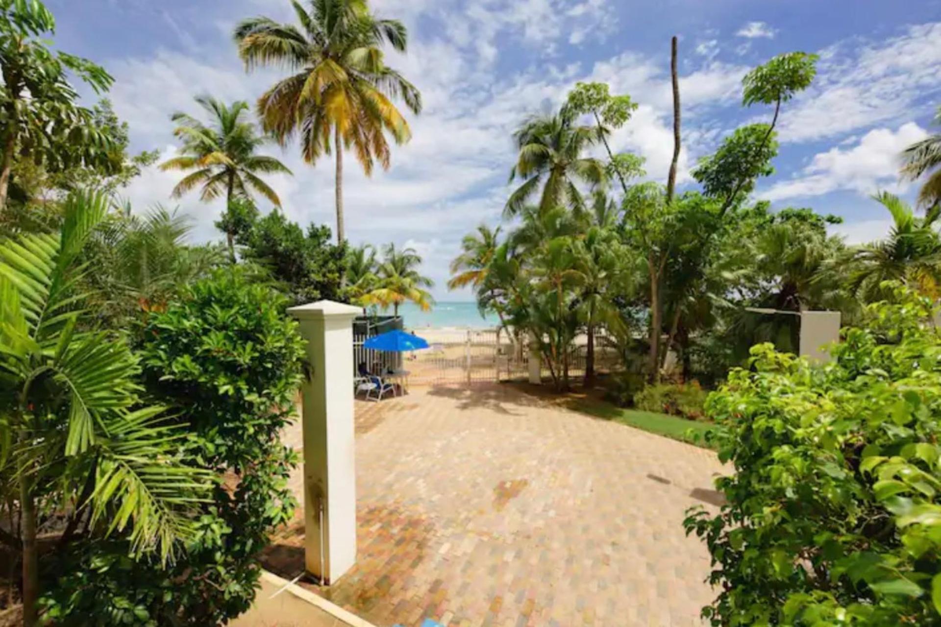 En Carolina Puerto Rico