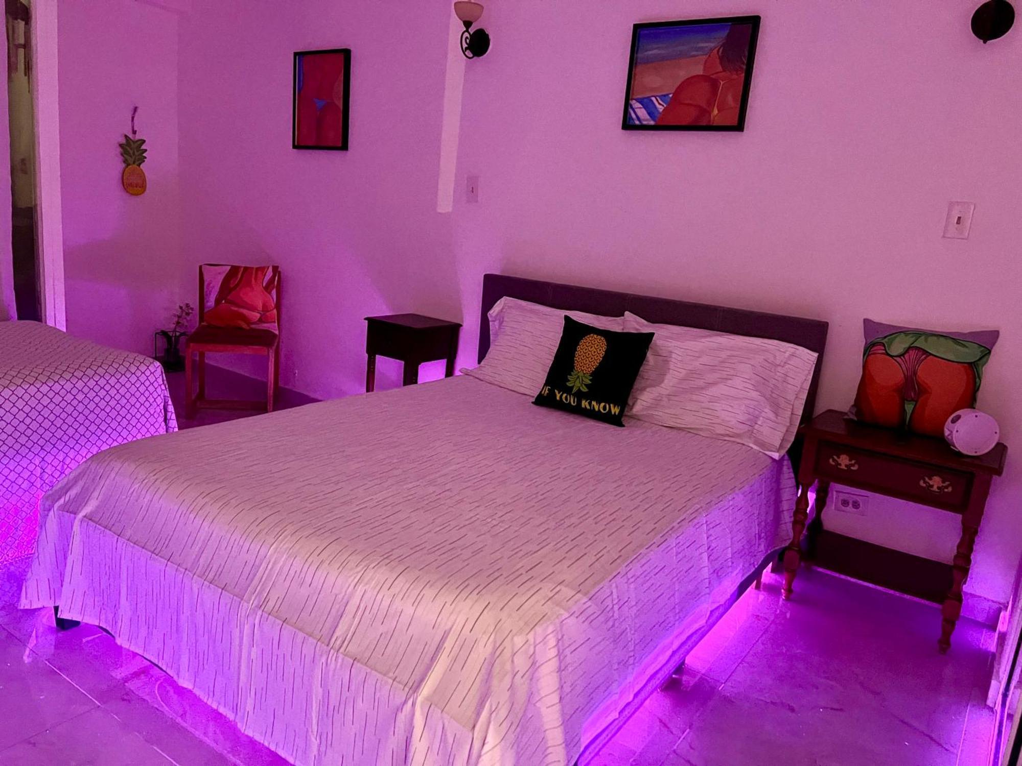 Apartment Condado Tropical Tantra *