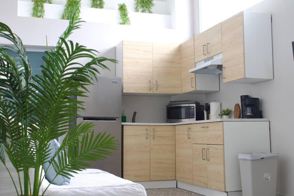 The Loft At Puerto Nuevo, Central Location In Sj Apartment *