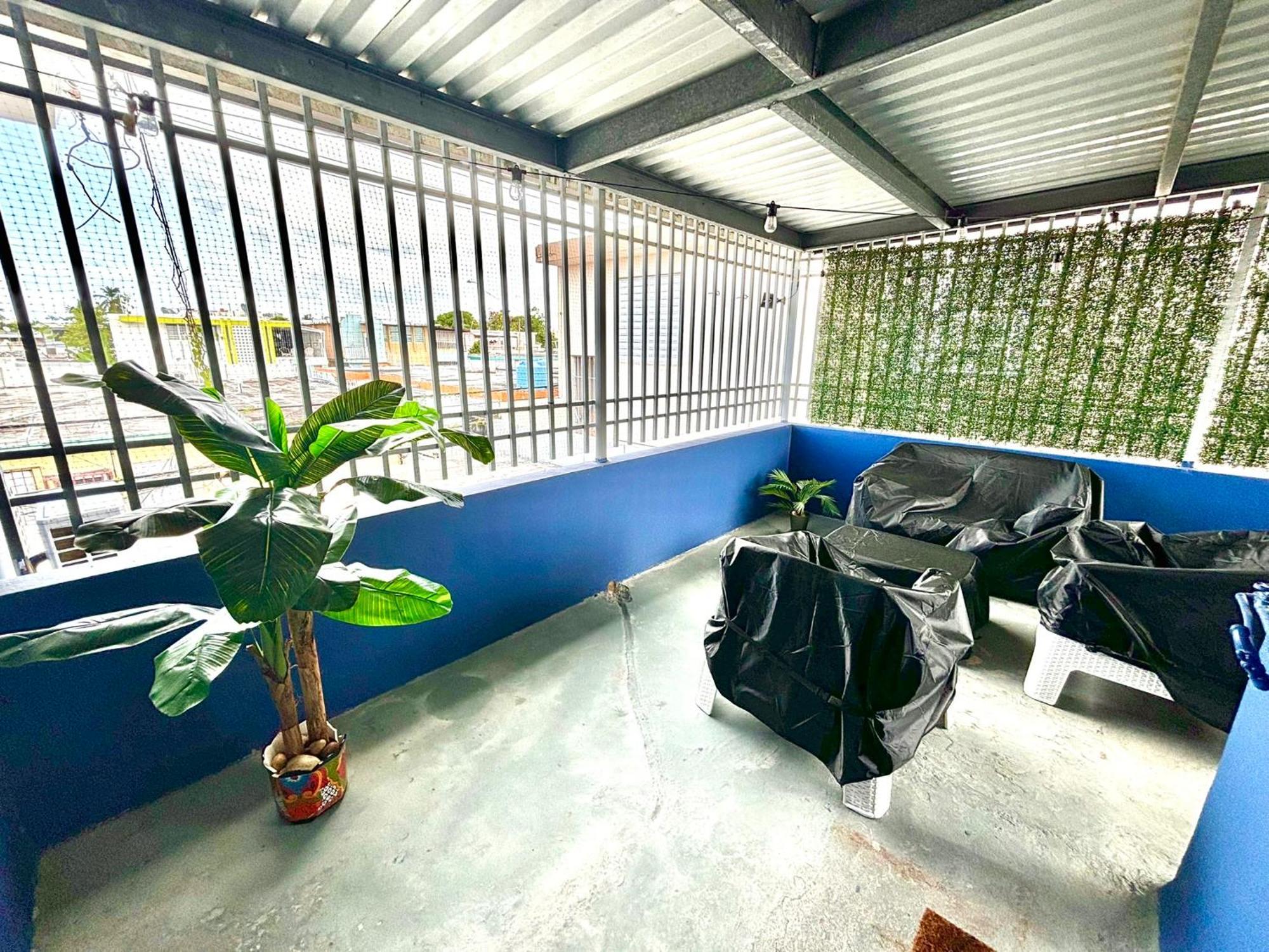 Urban Tropical Oasis In Apartment *