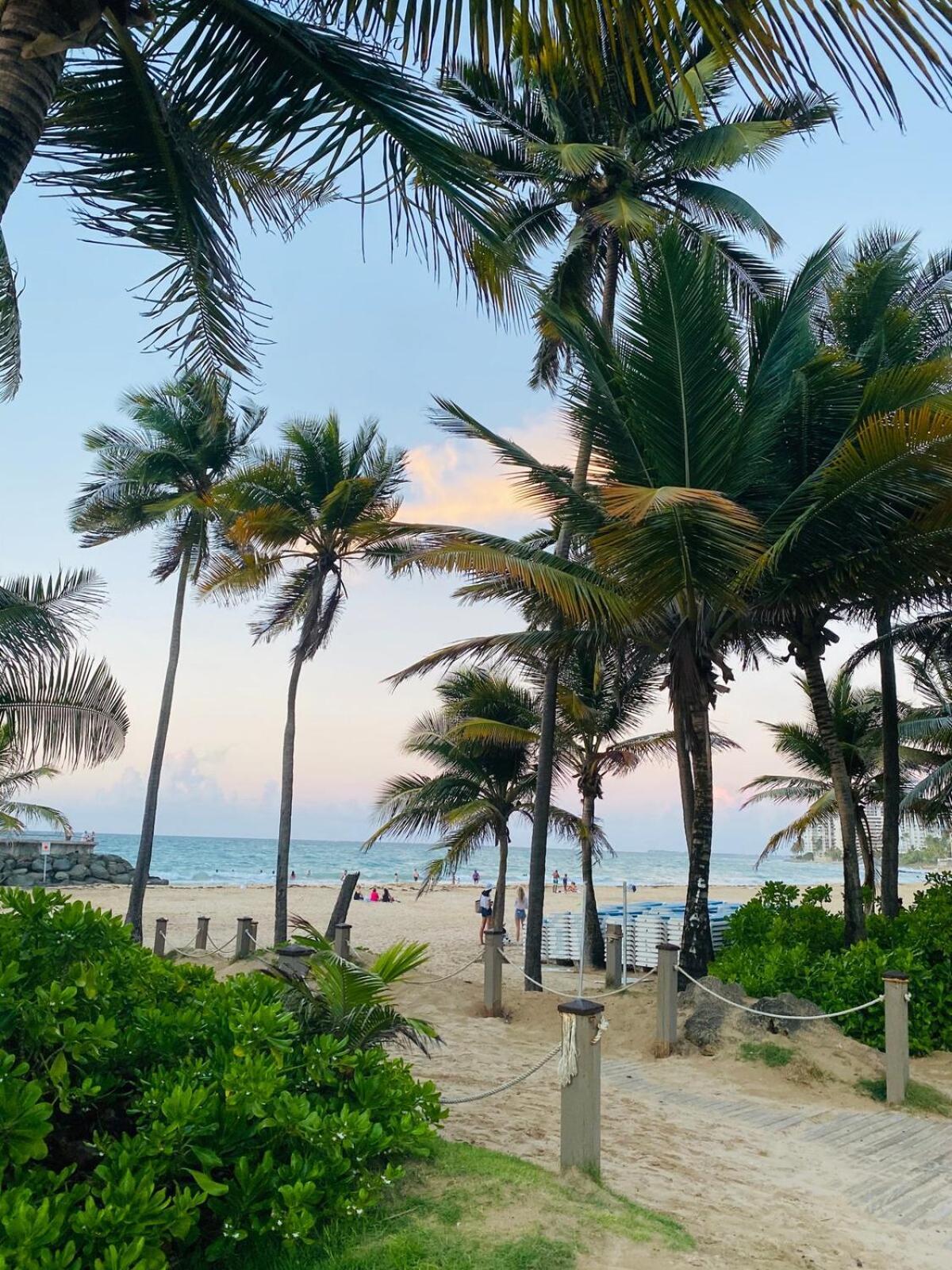 Chic & Modern Oasis In The Heart Of Condado * San Juan