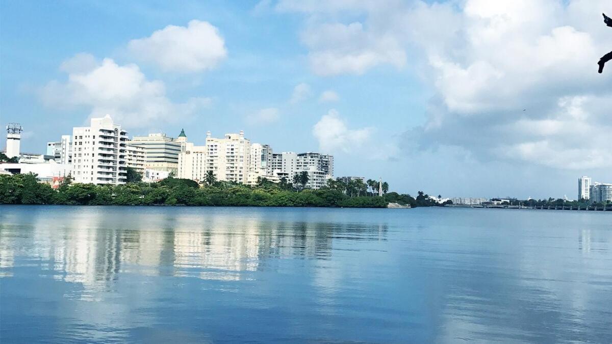 Chic & Modern Oasis In The Heart Of Condado