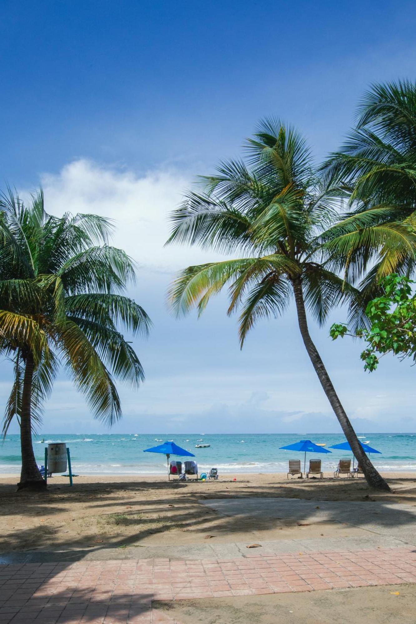 Apartment Esj Exclusive Beachfront San Juan