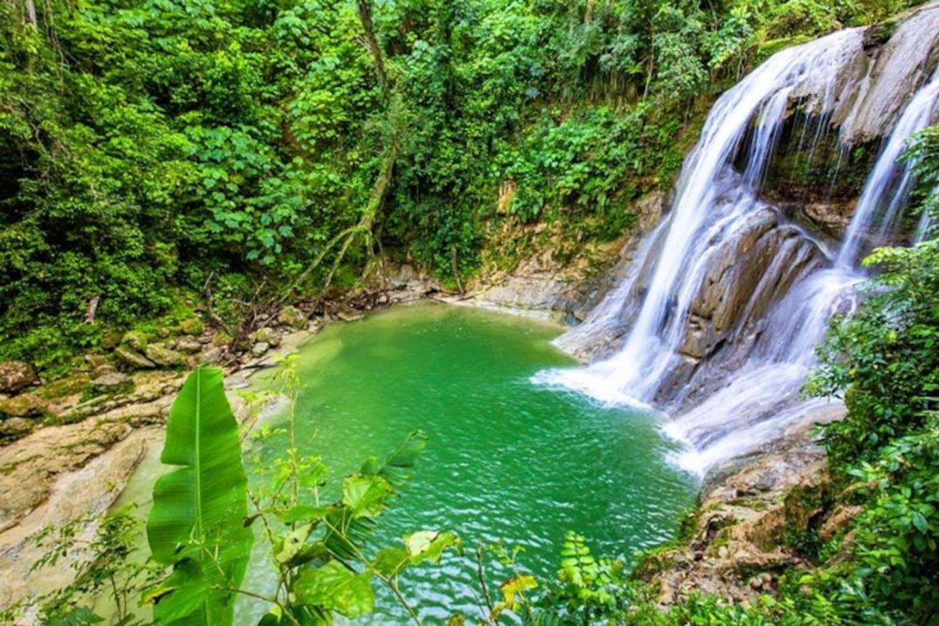 Private King With Bath In Shared * San Juan