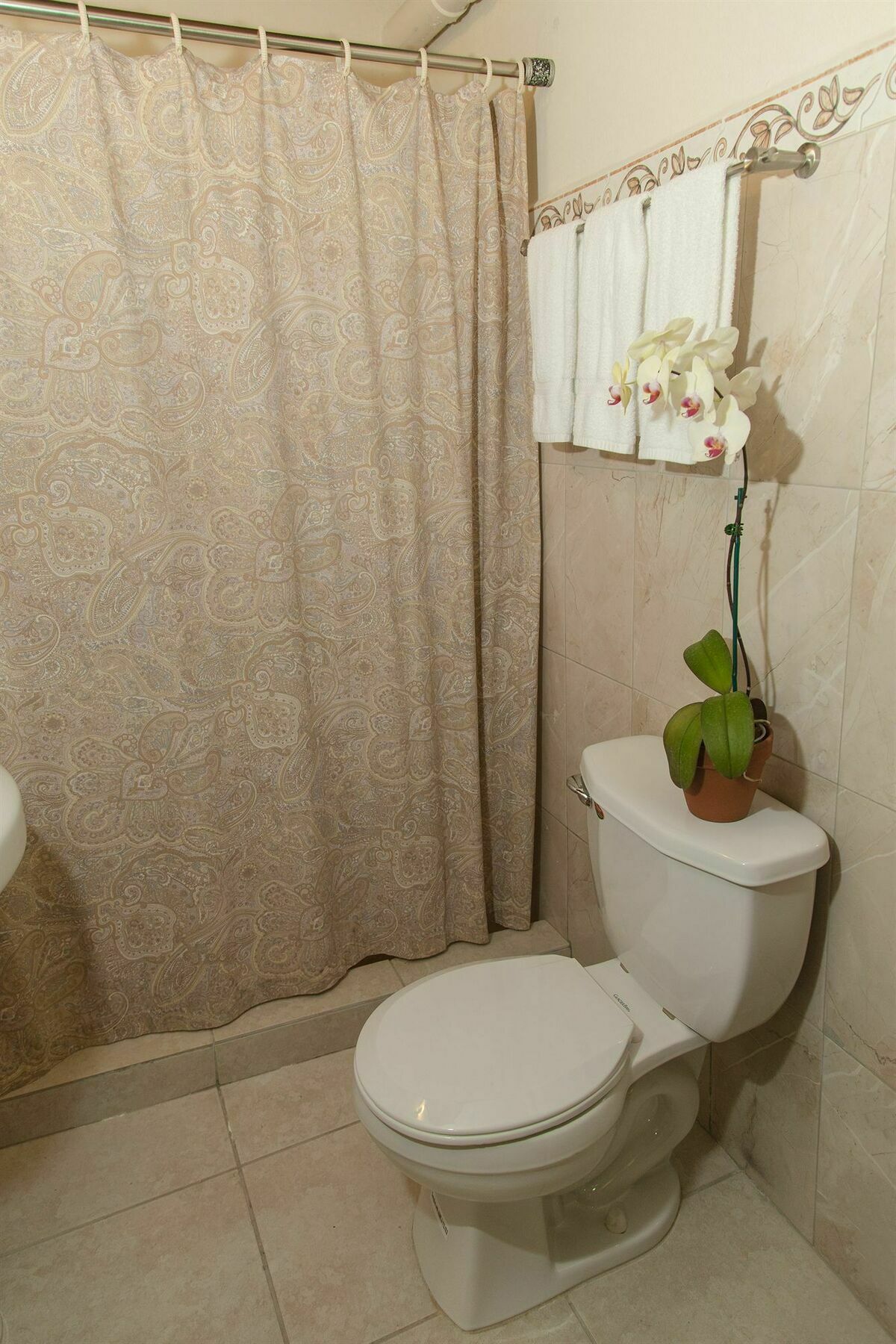 Aparthotel Fortaleza Old
