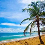 A2-Quaint 1B-Fast Wifi-Walk To Restaurants, Beach