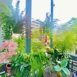 1202 Ponce De Leon Suites