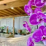 5 Min From Airport Sju Secret Garden Rental Pr