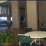 Paradise Palms